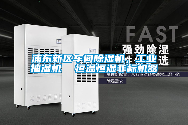 浦東新區(qū)車間除濕機，工業(yè)抽濕機  恒溫恒濕非標機器