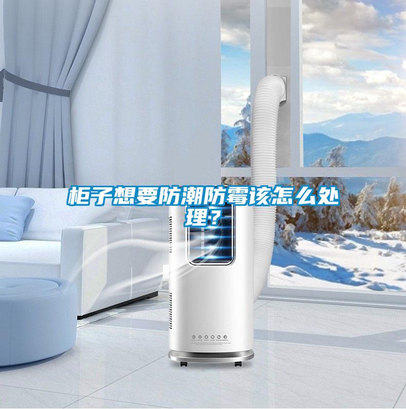 柜子想要防潮防霉該怎么處理？