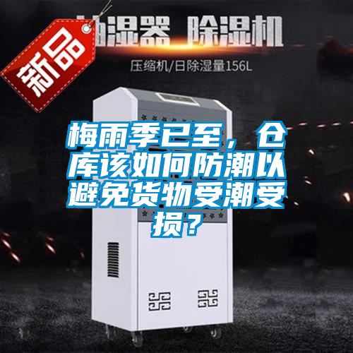 梅雨季已至，倉(cāng)庫(kù)該如何防潮以避免貨物受潮受損？