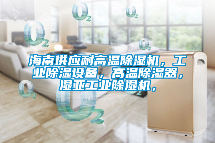 海南供應耐高溫除濕機，工業(yè)除濕設備，高溫除濕器，濕亞工業(yè)除濕機，