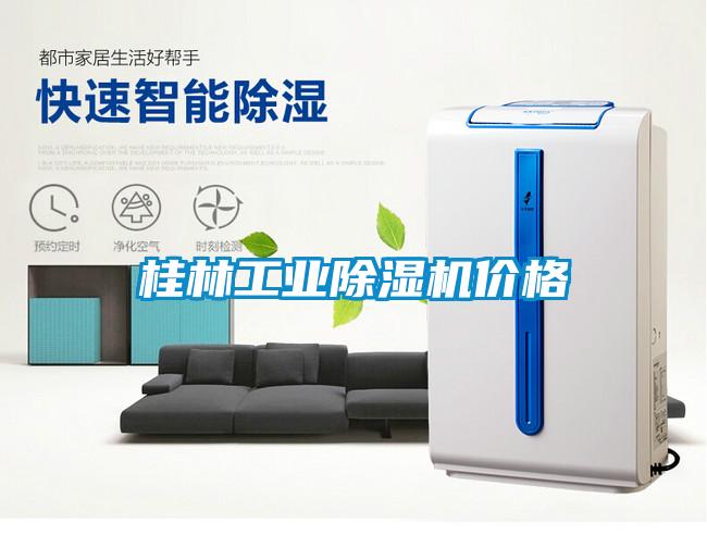 桂林工業(yè)除濕機價格