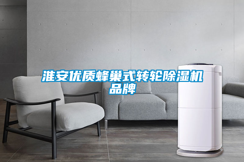 淮安優(yōu)質(zhì)蜂巢式轉輪除濕機品牌