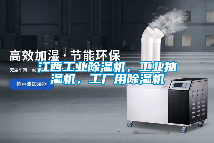 江西工業(yè)除濕機(jī)，工業(yè)抽濕機(jī)，工廠用除濕機(jī)
