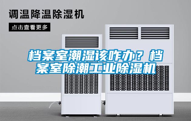 檔案室潮濕該咋辦？檔案室除潮工業(yè)除濕機