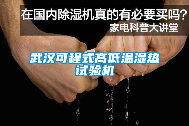 武漢可程式高低溫濕熱試驗機(jī)