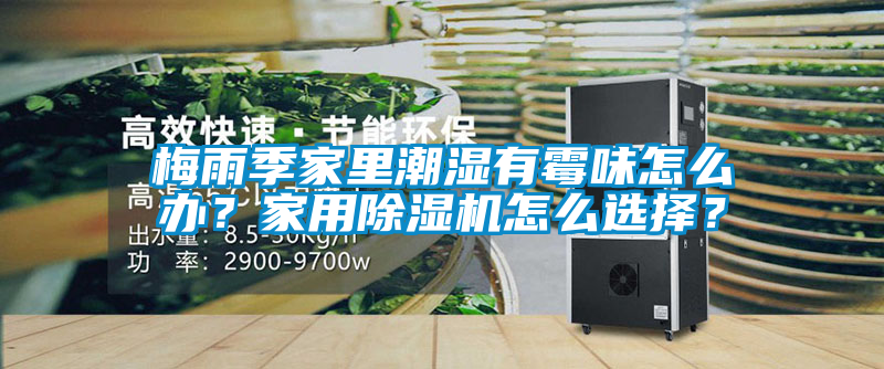 梅雨季家里潮濕有霉味怎么辦？家用除濕機(jī)怎么選擇？