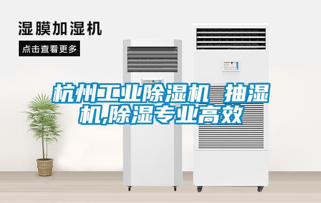 杭州工業(yè)除濕機 抽濕機,除濕專業(yè)高效