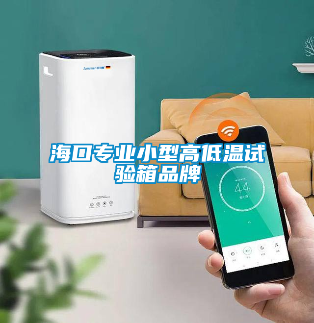 ?？趯I(yè)小型高低溫試驗(yàn)箱品牌
