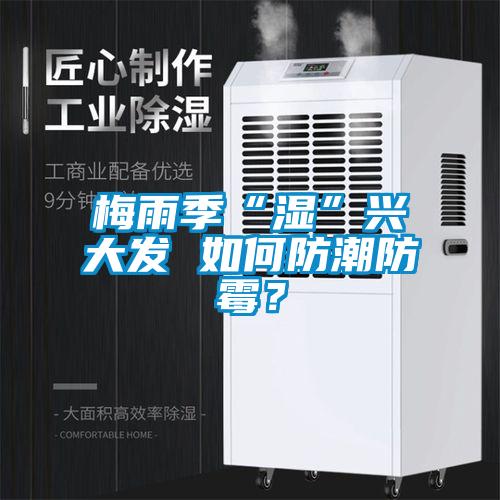 梅雨季“濕”興大發(fā) 如何防潮防霉？