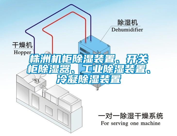 株洲機(jī)柜除濕裝置、開關(guān)柜除濕器、工業(yè)除濕裝置、冷凝除濕裝置
