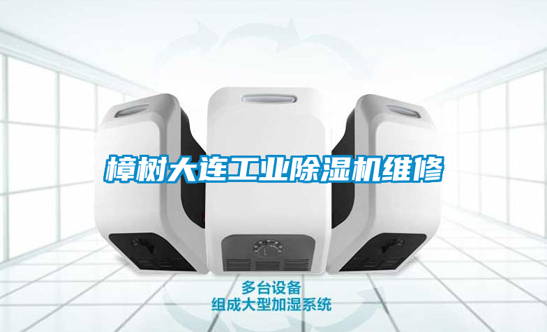 樟樹大連工業(yè)除濕機(jī)維修