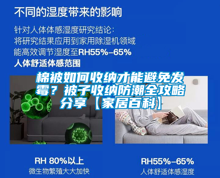 棉被如何收納才能避免發(fā)霉？被子收納防潮全攻略分享【家居百科】