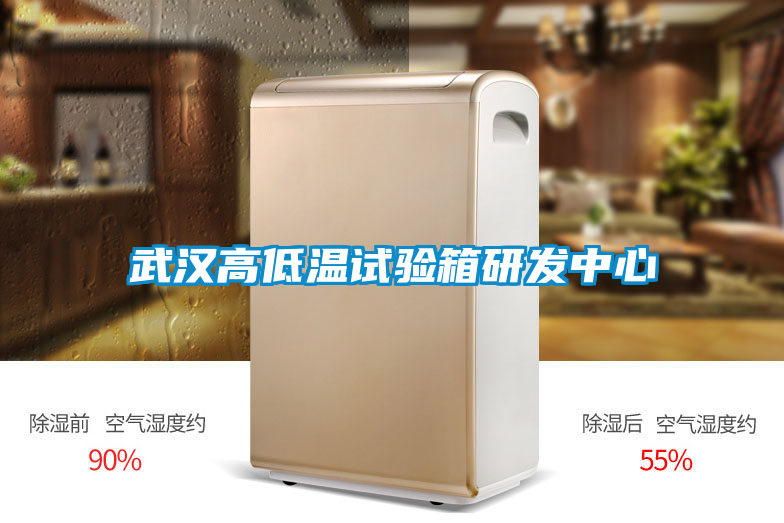 武漢高低溫試驗箱研發(fā)中心