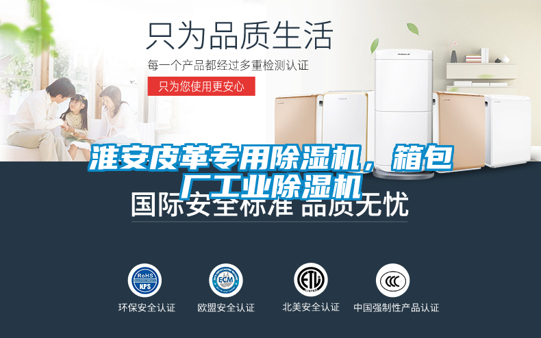 淮安皮革專用除濕機，箱包廠工業(yè)除濕機