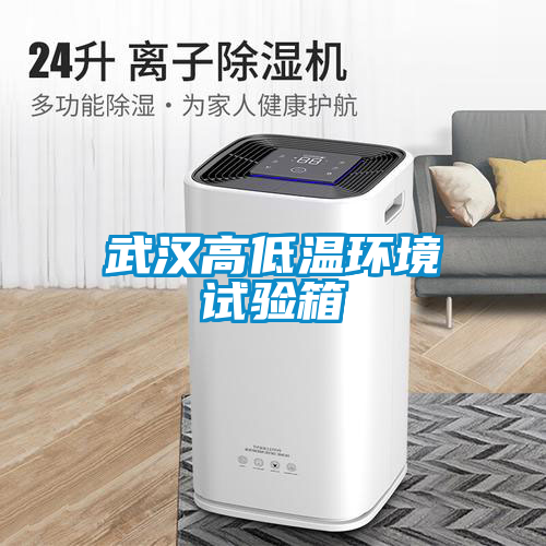 武漢高低溫環(huán)境試驗箱