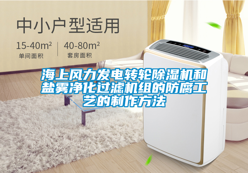 海上風力發(fā)電轉輪除濕機和鹽霧凈化過濾機組的防腐工藝的制作方法