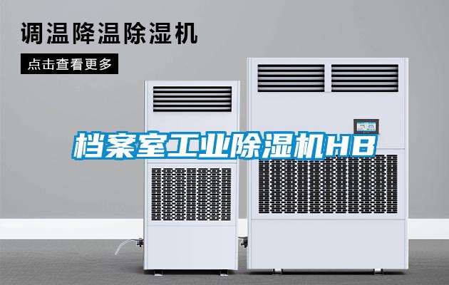 檔案室工業(yè)除濕機HB