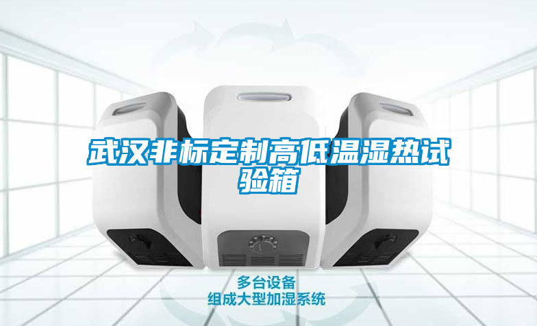 武漢非標(biāo)定制高低溫濕熱試驗箱