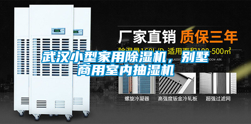 武漢小型家用除濕機(jī)，別墅商用室內(nèi)抽濕機(jī)