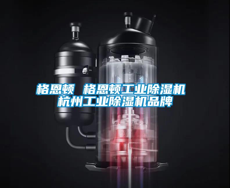 格恩頓 格恩頓工業(yè)除濕機 杭州工業(yè)除濕機品牌