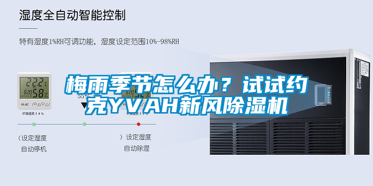 梅雨季節(jié)怎么辦？試試約克YVAH新風(fēng)除濕機(jī)