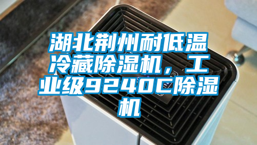 湖北荊州耐低溫冷藏除濕機(jī)，工業(yè)級9240C除濕機(jī)