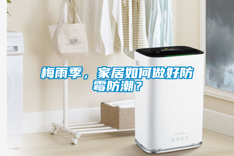 梅雨季，家居如何做好防霉防潮？