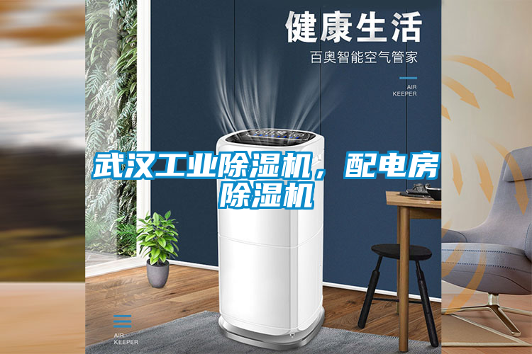 武漢工業(yè)除濕機，配電房除濕機