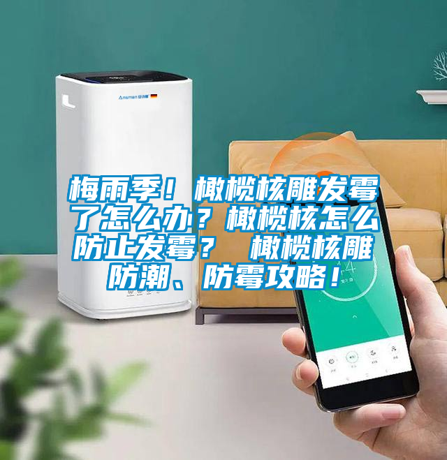 梅雨季！橄欖核雕發(fā)霉了怎么辦？橄欖核怎么防止發(fā)霉？ 橄欖核雕防潮、防霉攻略！
