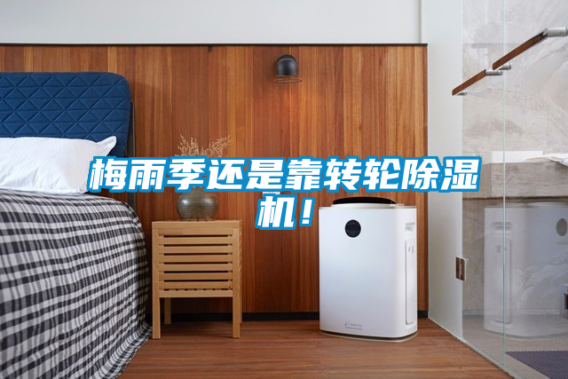 梅雨季還是靠轉(zhuǎn)輪除濕機(jī)！
