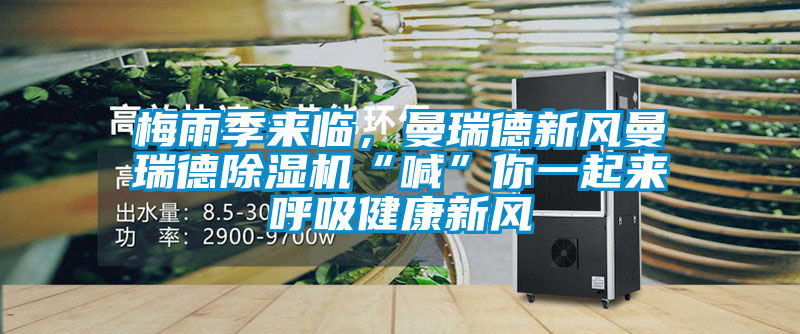 梅雨季來(lái)臨，曼瑞德新風(fēng)曼瑞德除濕機(jī)“喊”你一起來(lái)呼吸健康新風(fēng)