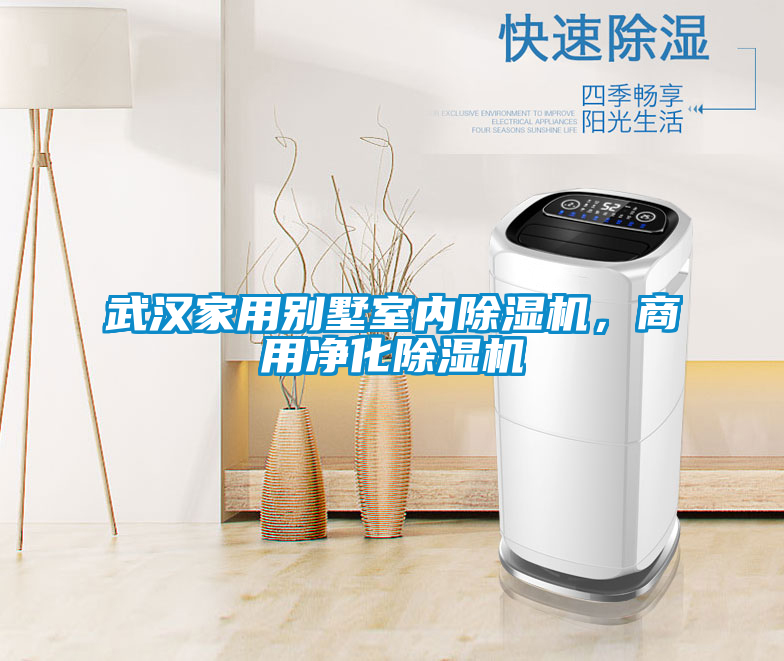武漢家用別墅室內(nèi)除濕機(jī)，商用凈化除濕機(jī)
