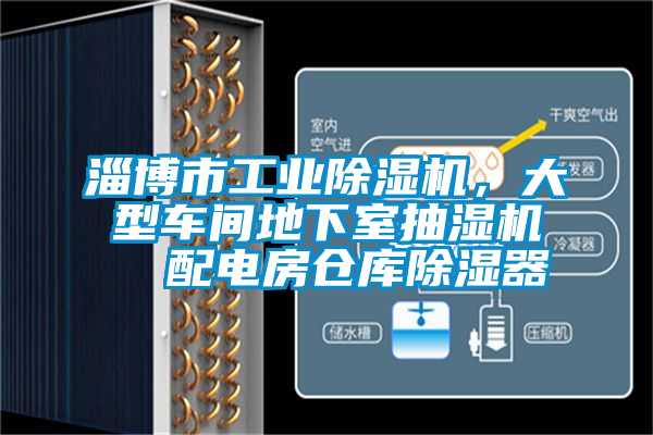 淄博市工業(yè)除濕機，大型車間地下室抽濕機  配電房倉庫除濕器