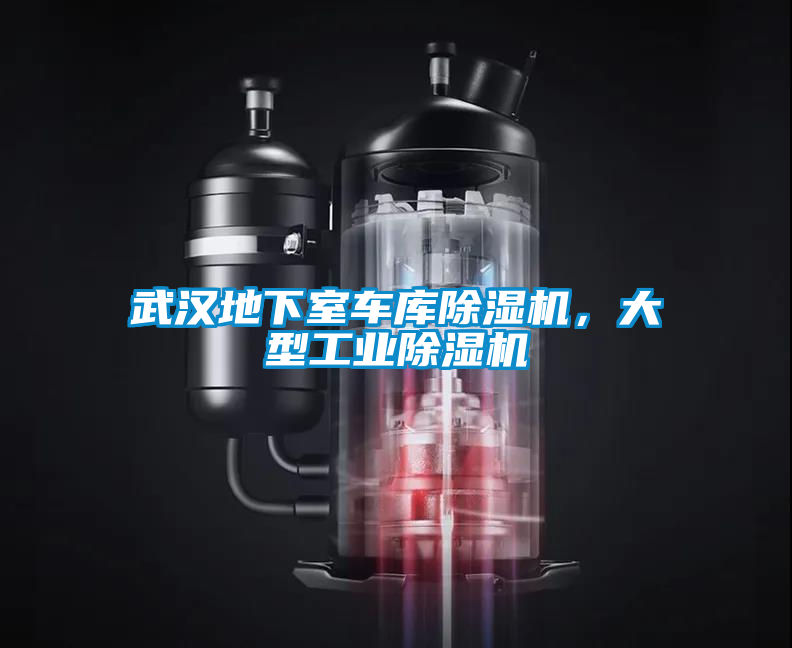 武漢地下室車庫除濕機(jī)，大型工業(yè)除濕機(jī)