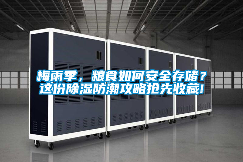 梅雨季，糧食如何安全存儲(chǔ)？這份除濕防潮攻略搶先收藏!