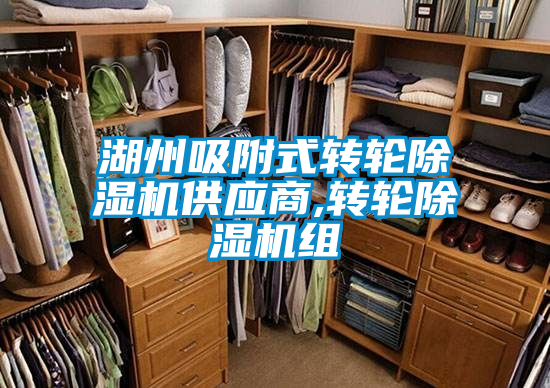湖州吸附式轉(zhuǎn)輪除濕機(jī)供應(yīng)商,轉(zhuǎn)輪除濕機(jī)組