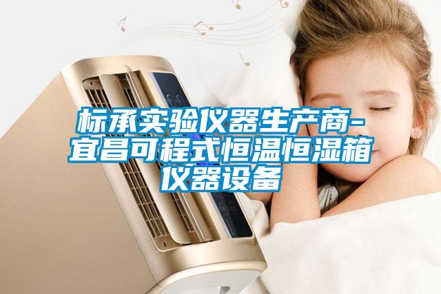 標(biāo)承實(shí)驗(yàn)儀器生產(chǎn)商-宜昌可程式恒溫恒濕箱儀器設(shè)備