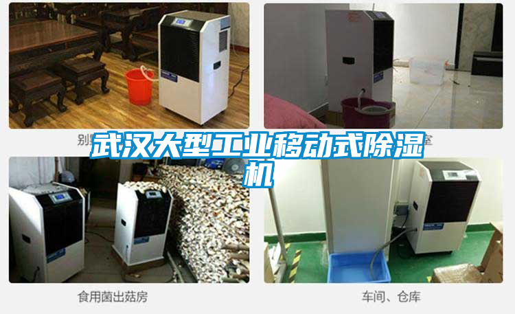 武漢大型工業(yè)移動式除濕機(jī)