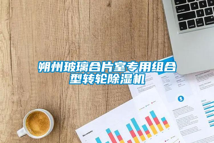 朔州玻璃合片室專(zhuān)用組合型轉(zhuǎn)輪除濕機(jī)