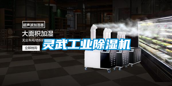 靈武工業(yè)除濕機