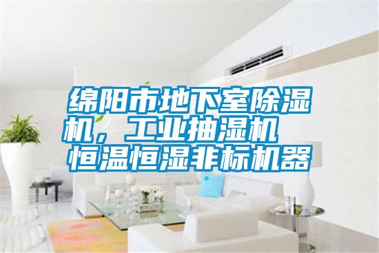 綿陽(yáng)市地下室除濕機(jī)，工業(yè)抽濕機(jī)  恒溫恒濕非標(biāo)機(jī)器