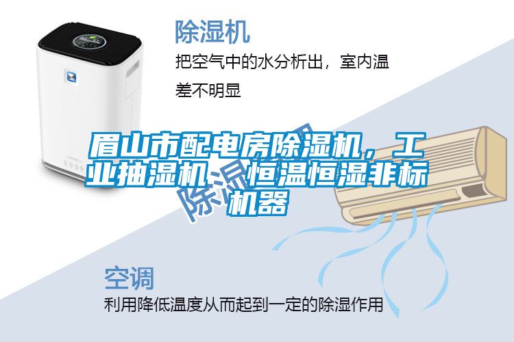 眉山市配電房除濕機(jī)，工業(yè)抽濕機(jī)  恒溫恒濕非標(biāo)機(jī)器