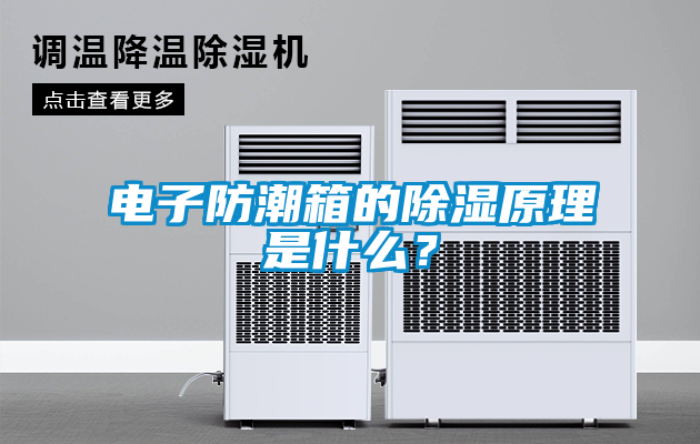 電子防潮箱的除濕原理是什么？
