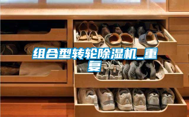 組合型轉輪除濕機_重復