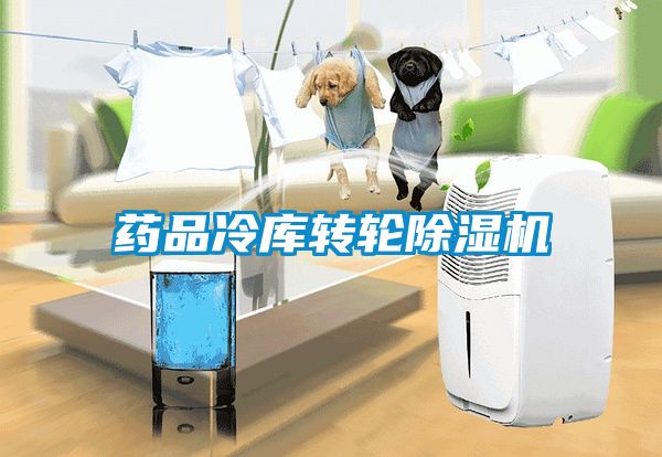 藥品冷庫轉(zhuǎn)輪除濕機