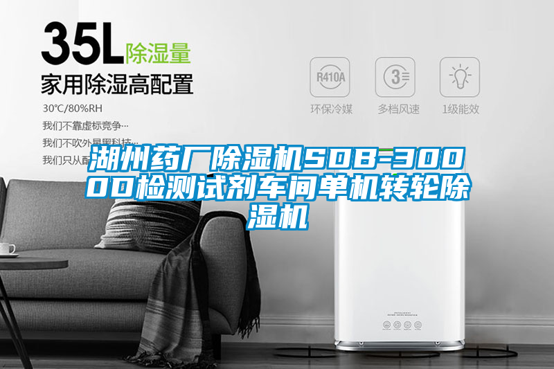湖州藥廠除濕機(jī)SDB-3000D檢測(cè)試劑車間單機(jī)轉(zhuǎn)輪除濕機(jī)