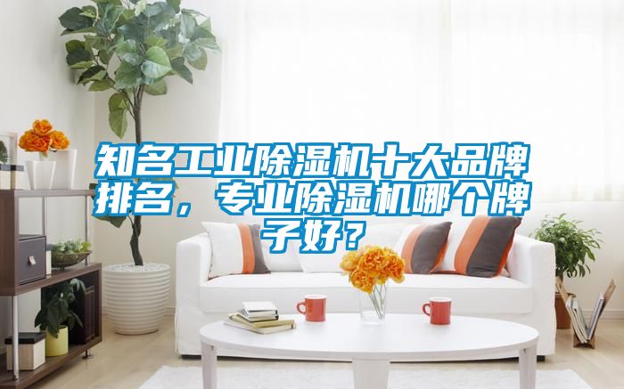 知名工業(yè)除濕機(jī)十大品牌排名，專業(yè)除濕機(jī)哪個(gè)牌子好？