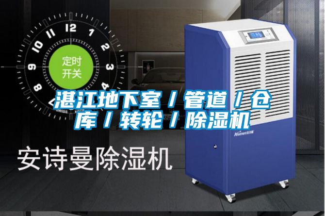 湛江地下室／管道／倉(cāng)庫(kù)／轉(zhuǎn)輪／除濕機(jī)