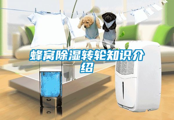 蜂窩除濕轉(zhuǎn)輪知識(shí)介紹