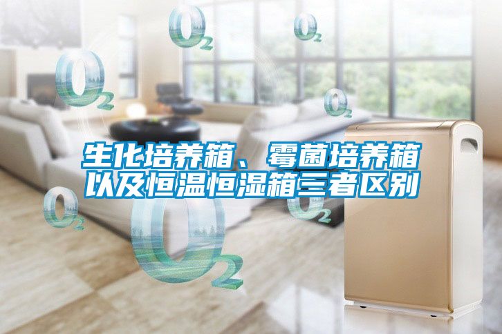 生化培養(yǎng)箱、霉菌培養(yǎng)箱以及恒溫恒濕箱三者區(qū)別